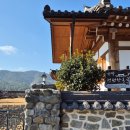 다래농장 | 광양 토종다래농장 견학다녀온 후기