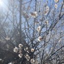 남북약국 이미지