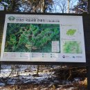 평창 오대산 중대 석가여래도 | 눈길을 걷다 - 오대산 비로봉