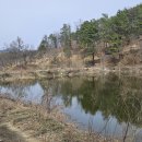 목골소류지 Daum카페
