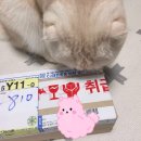 아르릉 이미지