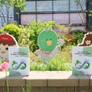 구로-구로-구로-2034 이미지