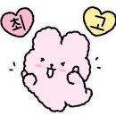 춘천소양강김치 이미지