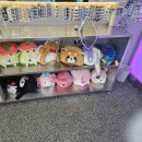 [성안길 사진관 후기]조명 맛집💡포토 그레이📷 후기, 포즈 꿀팁, 위치, 전화번호