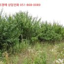 합포 285