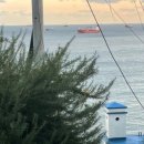 (사)부산평화시장 이미지