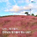 전라남도 핑크뮬리 명소💐순천만국가정원💐국립나주박물관💐남산공원💐포레스트수목원💐황룡강 이미지