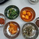 강진만갯벌탕 이미지