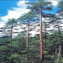 금강 태양광발전소 이미지