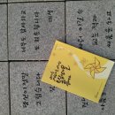 김해 봉하마을 + 금관가야 이야기 _ 11.16(일) 이미지