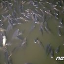 조씨낚시터 이미지