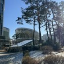 장미아파트(내서여고방면) | 광교꽃집 보네르플라워 | 예쁜 꽃다발, S사이즈 후기, 무인픽업도 가능해요!