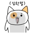 토마토키즈 네이버블로그