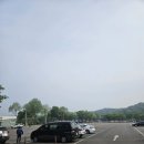 주식회사 유니베스트 | 31개월 아이 서울랜드 꿀팁 주차 코끼리열차 놀이기구 식당