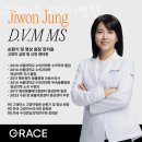 그레이스 고양이 병원 이미지