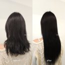 원스프롬붙임머리
