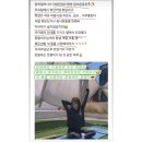 아람답다 | 아람답다 SNPE 수업 후기 모음