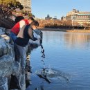 김신환동물병원 이미지