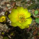 송백1리 이미지