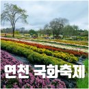 파란 가을하늘에 형형색색의 국화꽃이 가득한 가을국화정원.제7회연천국화축제가 10월26일까지 연천군전곡선사유적지에서 올해도 개최되었습니다 이미지