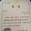 경빈농장 | 경빈마마 축하 이벤트 [감귤식초 극조생귤5kg]