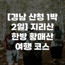 지리산약초관광농원 | [경남 산청 1박 2일] 지리산 한방 황매산 여행 코스