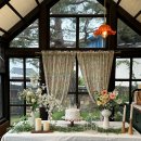 스테이낮선 이미지