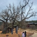 도동유교문화관1 | [달성 도동서원 국가유산 여권투어] 스탬프 위치, 유교문화관_ 대구광역시 초등 역사 여행 추천