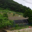 안영농장 이미지