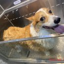 슈슈댕 구래점 이미지