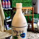 사랑나무 캠핑장 티스토리