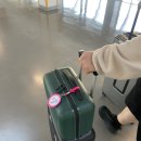 반송2호교 교차로 | [태국|방콕] 임신 23주차 태교여행 🇹🇭 1일차 (feat.타이라이언에어항공,돈므앙국제공항),카오산로드 맛집