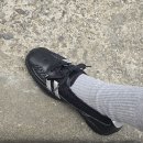 시트러스디자인 이미지