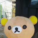메리온웨딩