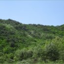 내서면 노류리 이미지