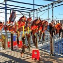 바다가고향 이미지