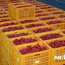 영양고추유통센터 이미지