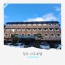 나무호텔 | 청주 숙소 추천 나무호텔 가성비 숙소 내돈내산 후기