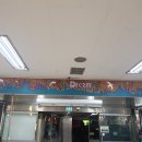 돌고래시장상인회 - 7817 | 돌고래시장상인회