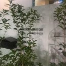 시계태엽시크릿