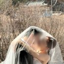 웨이브그라피 네이버블로그