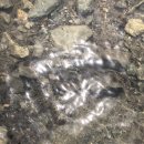 까꿍펜션 이미지