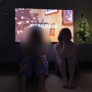 화산켄넬 | 때 이른 상반기 결산