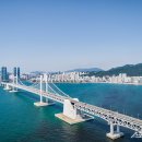 대교환경산업 스포츠동아