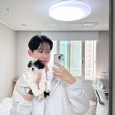 강아지분양 올리펍스 강남점 이미지