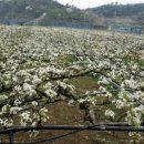 덕천농장 이미지