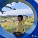 여너
