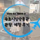 속초사잇길 제2길 | 아이랑 속초 가볼만한 곳, 속초시립박물관 관람 체험 후기