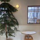 스테이인터뷰 이미지