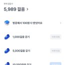 주도야 모종점 이미지